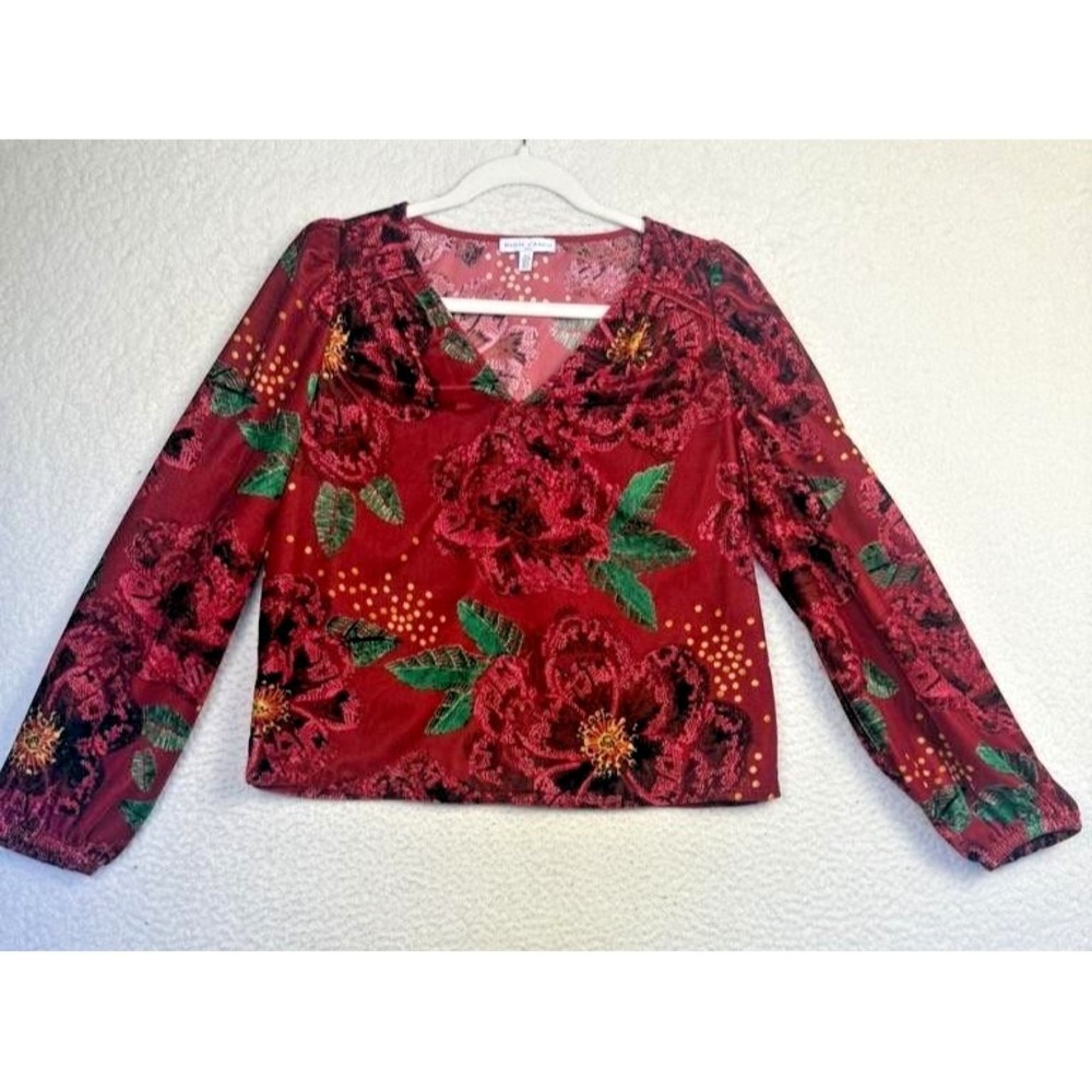 Maison D'Amélie Blouse Womens Small Red Floral Velvet V Neck Balloon Sleeve Top